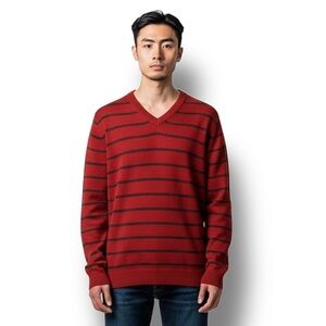 Aeropostale Mens V Neck Wool Blend Striped Sweater Preppy Urban Grunge Retro L